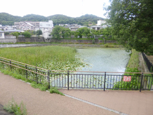 近隣風景